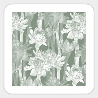 Sage Green Torch Ginger Flowers Sticker